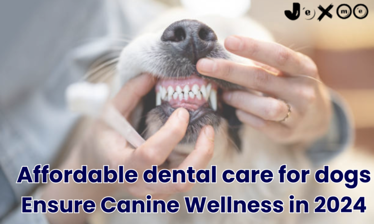 Affordable dental care for dogs