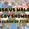 USA vs Wales